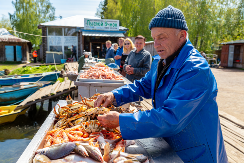 Как выбрать лучших поставщиков морепродуктов для надежности и качества